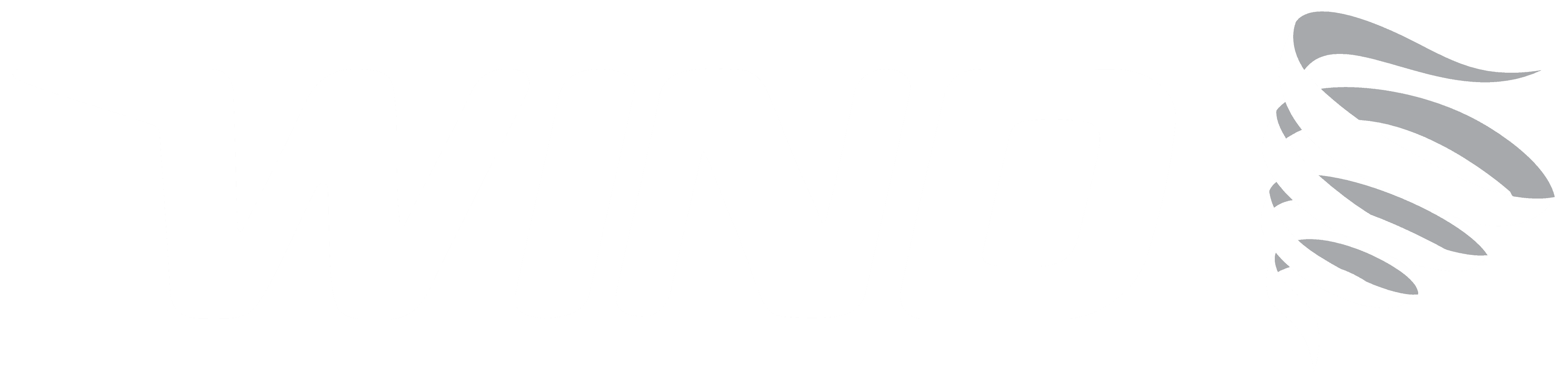 Wind Telecom